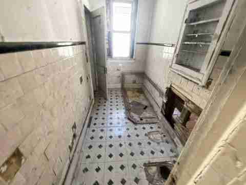 17257 bloom (36).jpg